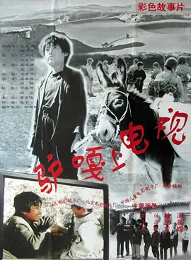 99自拍视频海报