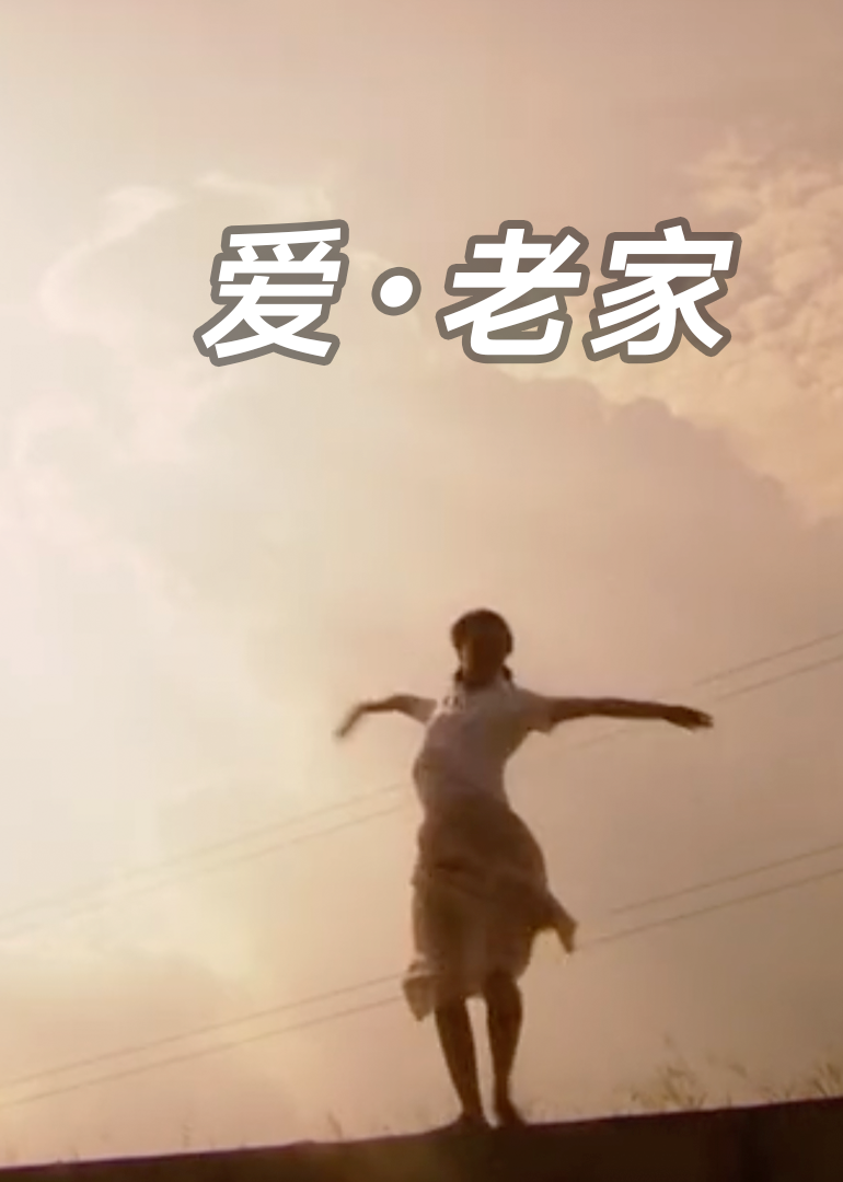 日本中字在线视频二区海报