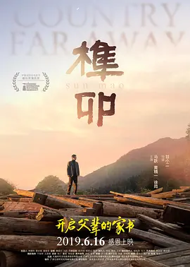 亚洲国产成人精品久久久国产成人海报