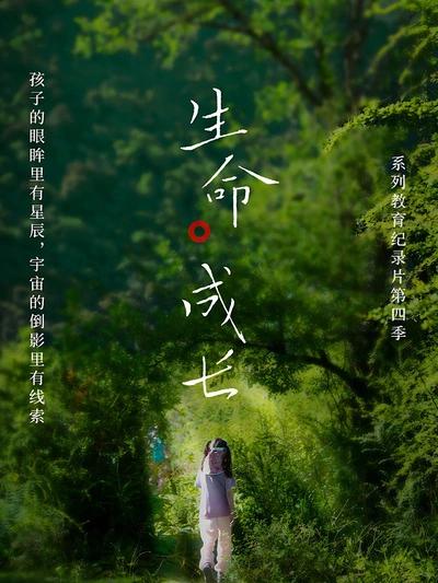 污污内射久久一区二区欧美日韩海报