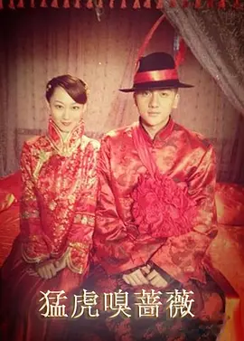 无码国内精品久久人妻一海报