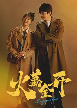 午夜视频在线在免费海报