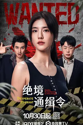 漂亮的保姆中文版海报