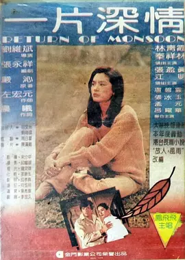 国产精品久久久久精品a级小说海报