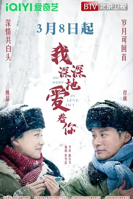 中文字幕av无码专区海报