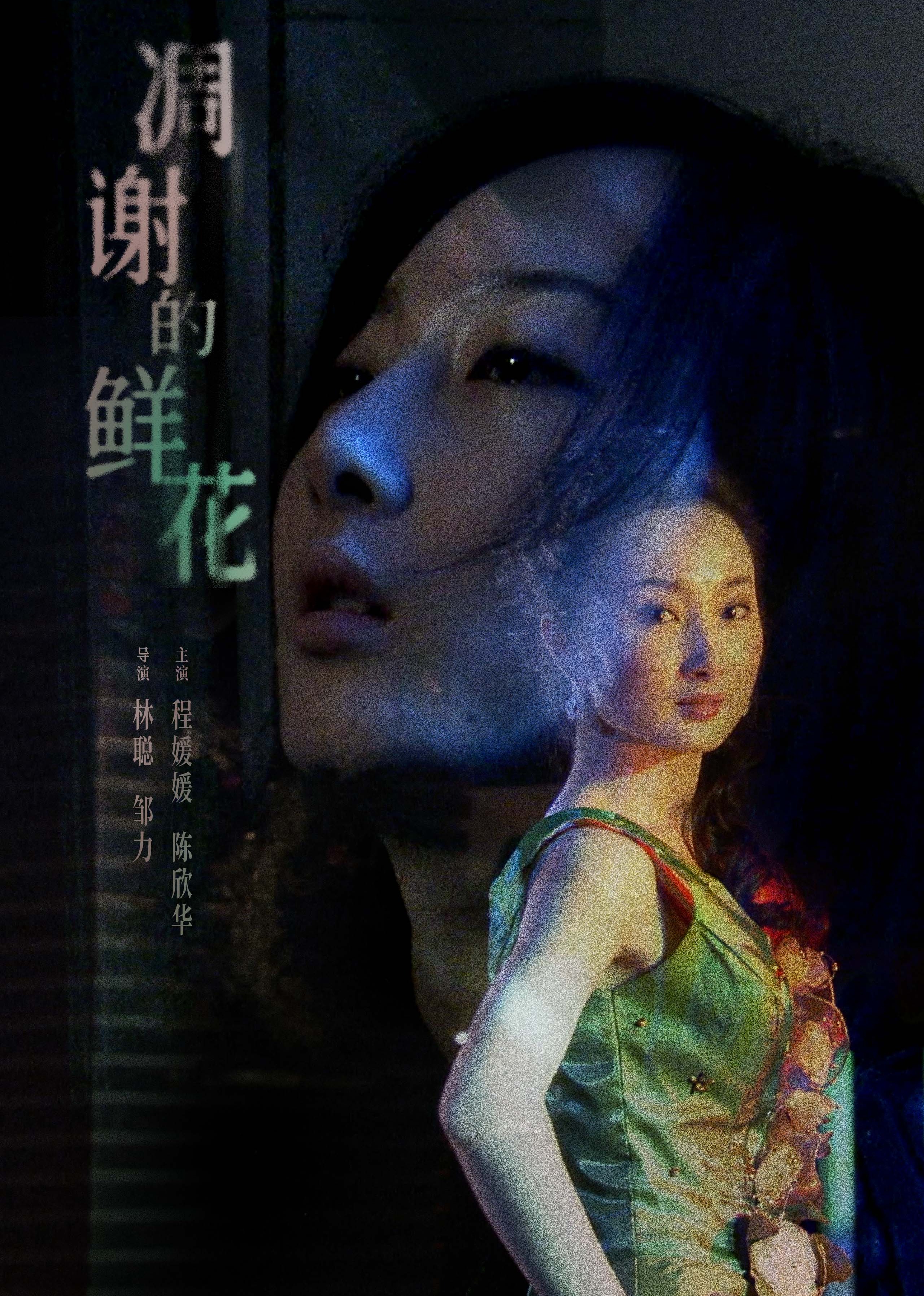 精品一区二区三区 - HD在线视频观看海报