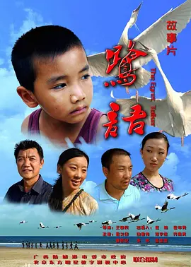 国产精品91自拍海报