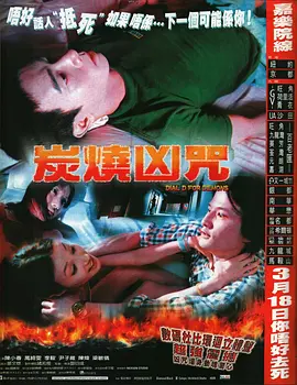 国产a国产片海报