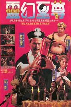 伊人久久无码精品综合网海报
