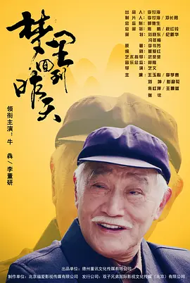 国产精品视频久久久海报